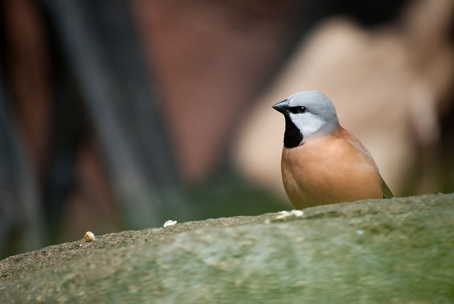 Our world of nature