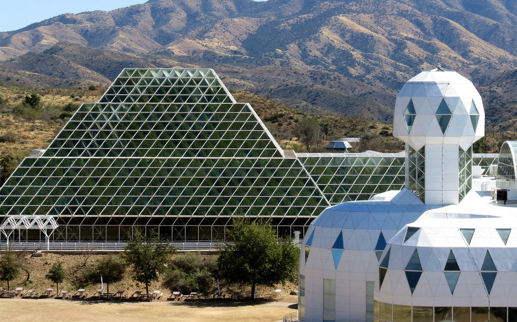 A breeze will please the trees?