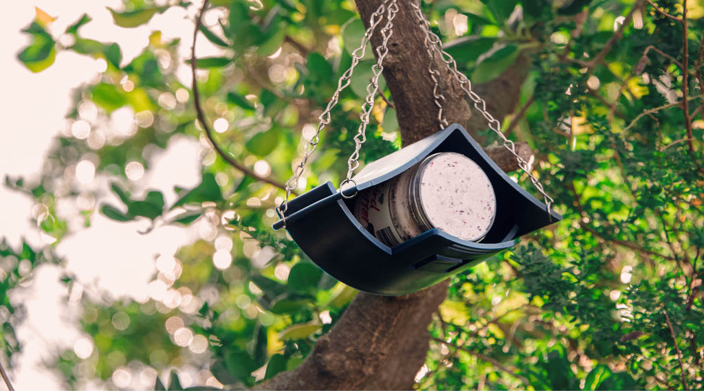 Topflite Bird Butter hangs in a Bird Butter House from a tree.