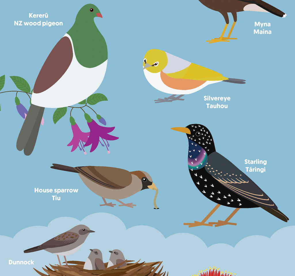 Who’s dropping by for a winter feed?