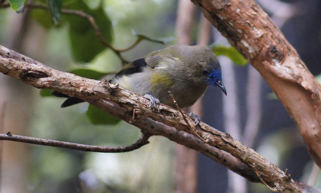 Counting our blessings