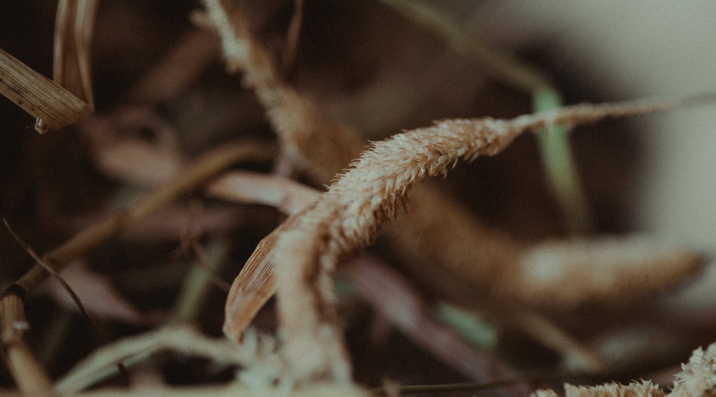 Expertly picked with Dr Merlyn Hay