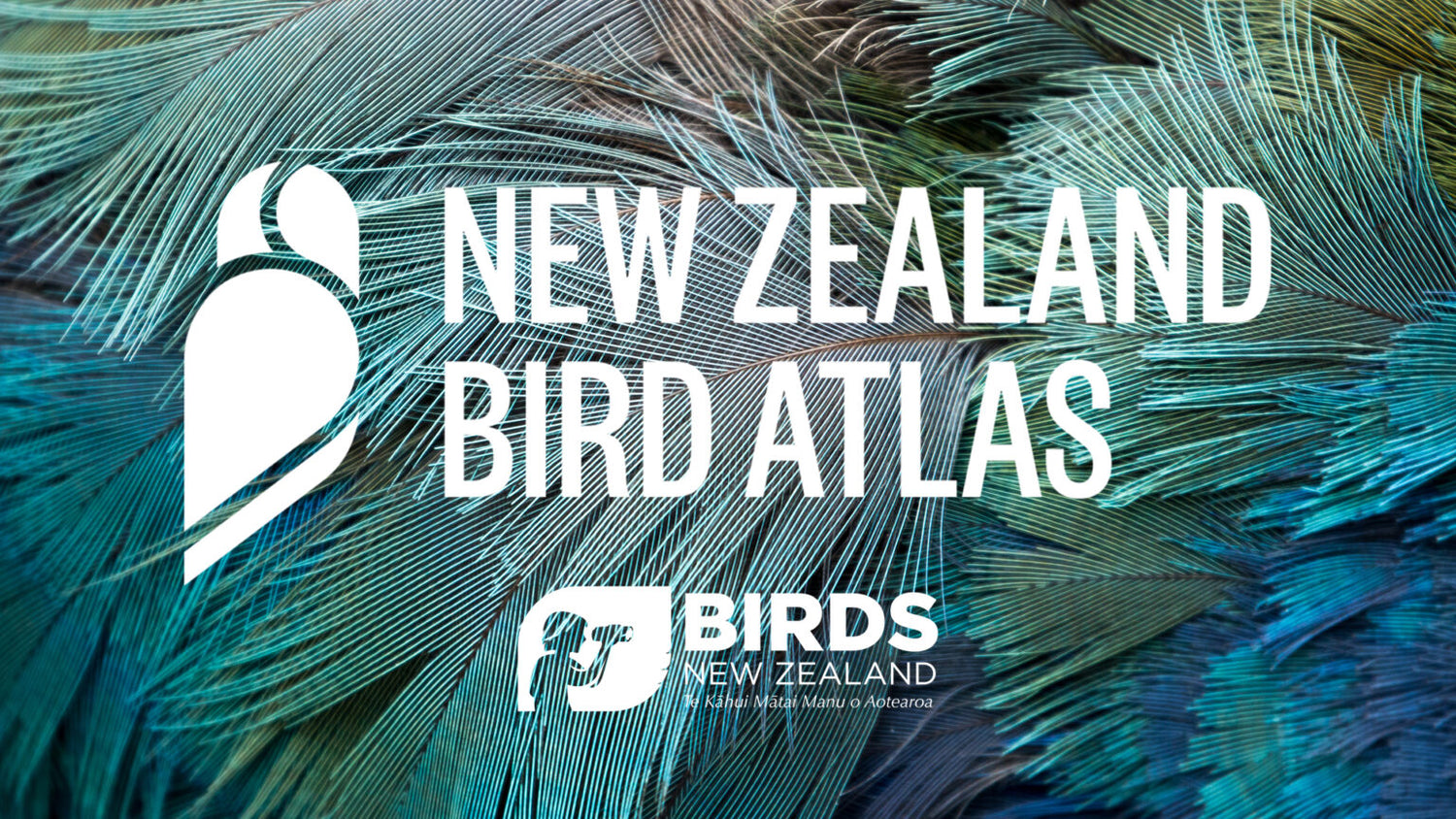 NZBirdAtlas