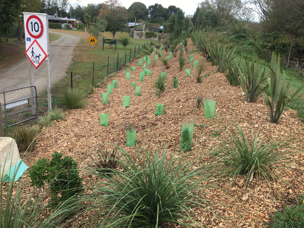 Good Egg: The Gemmells Crossing Society