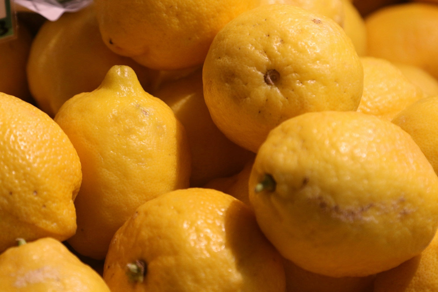 Seasonal Bounty: Lemons