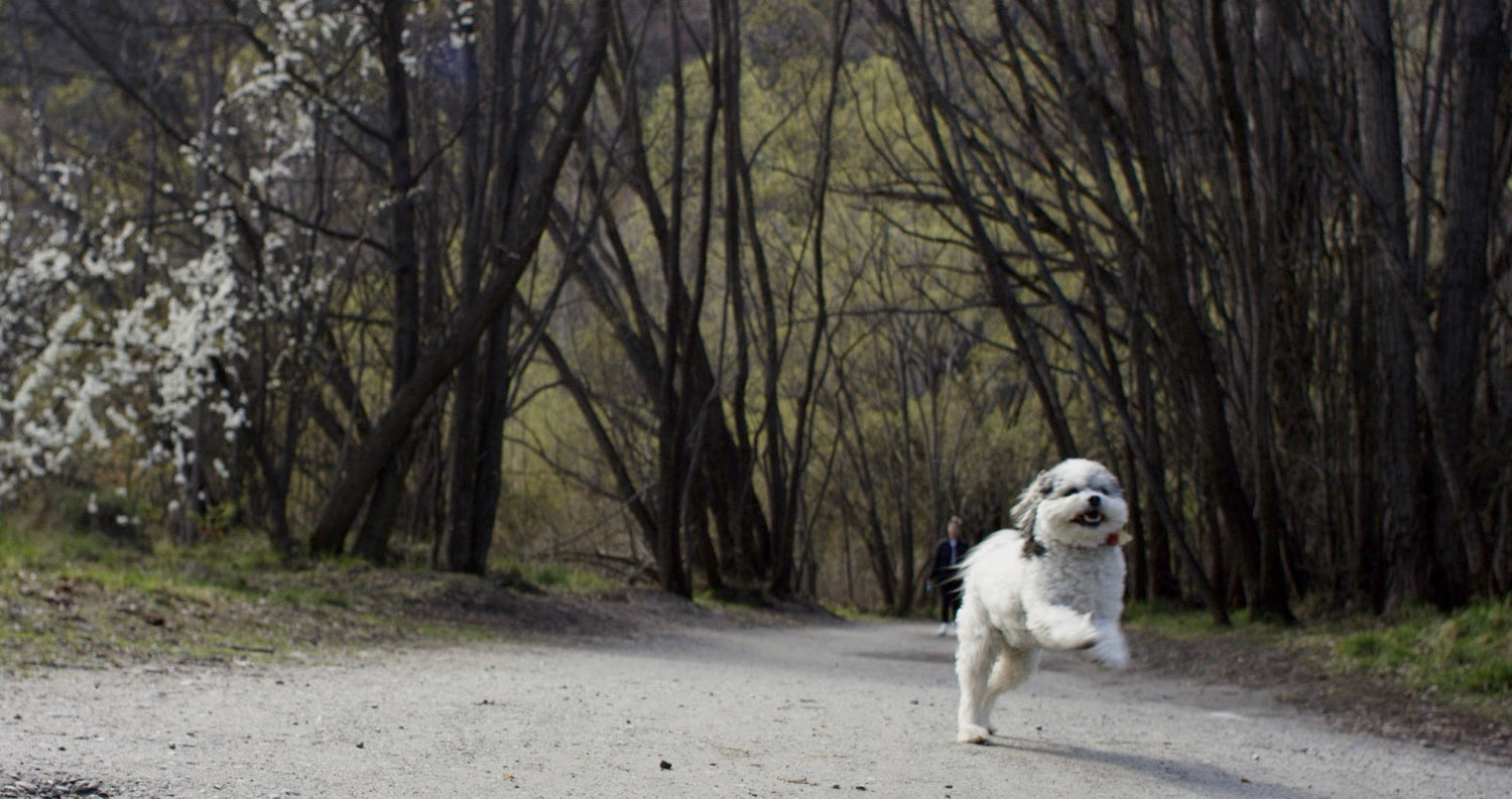 Meet the Talent: Molly