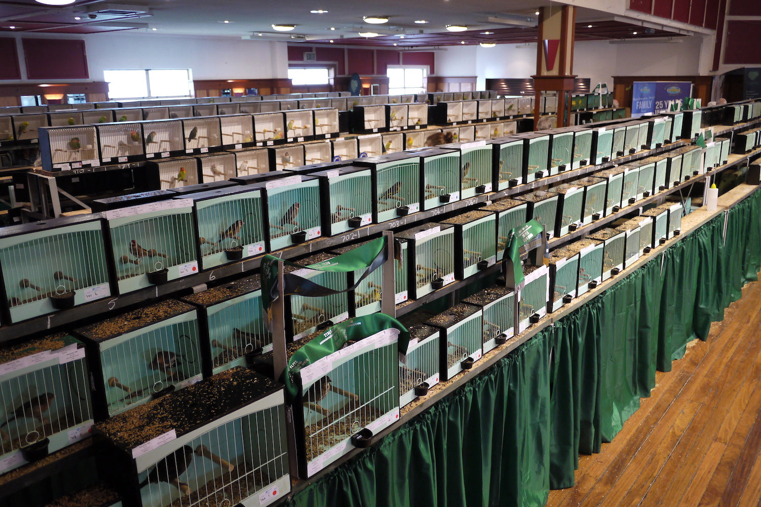 Waiting in the wings…