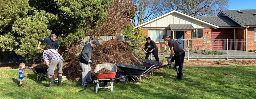 Good Egg: The Shirley Community Trust