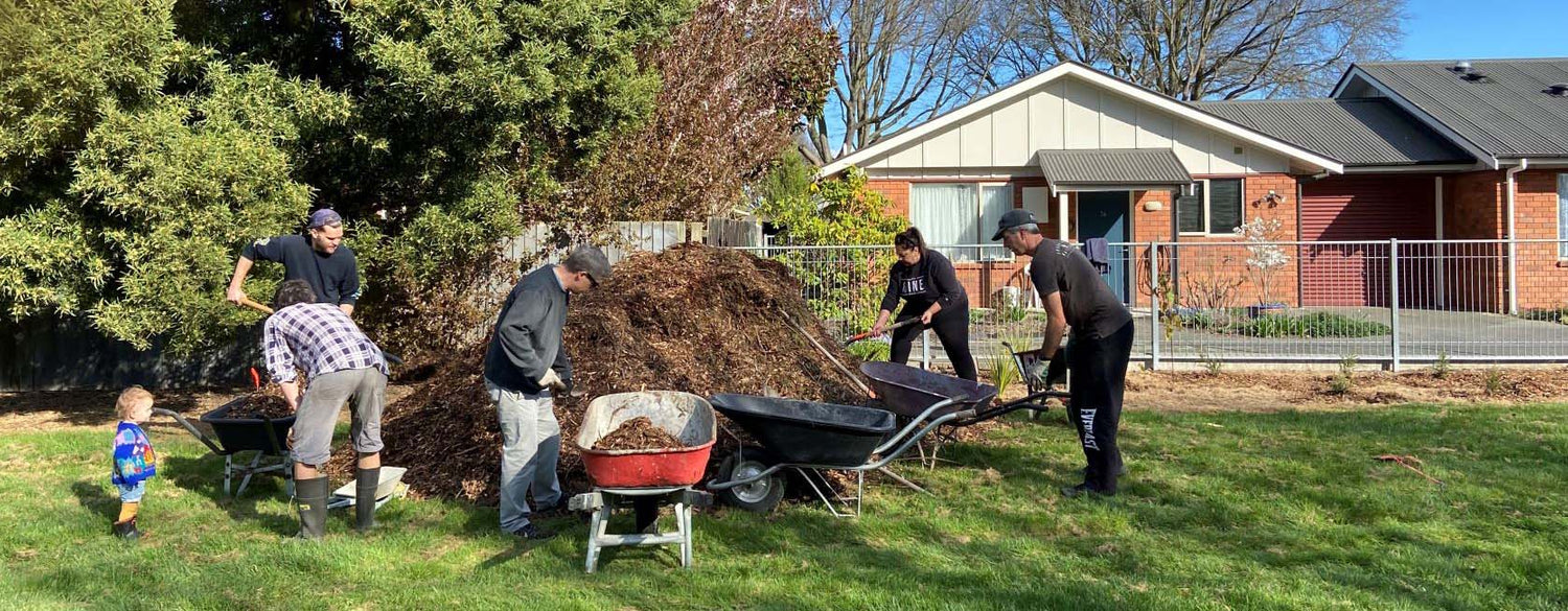 Good Egg: The Shirley Community Trust