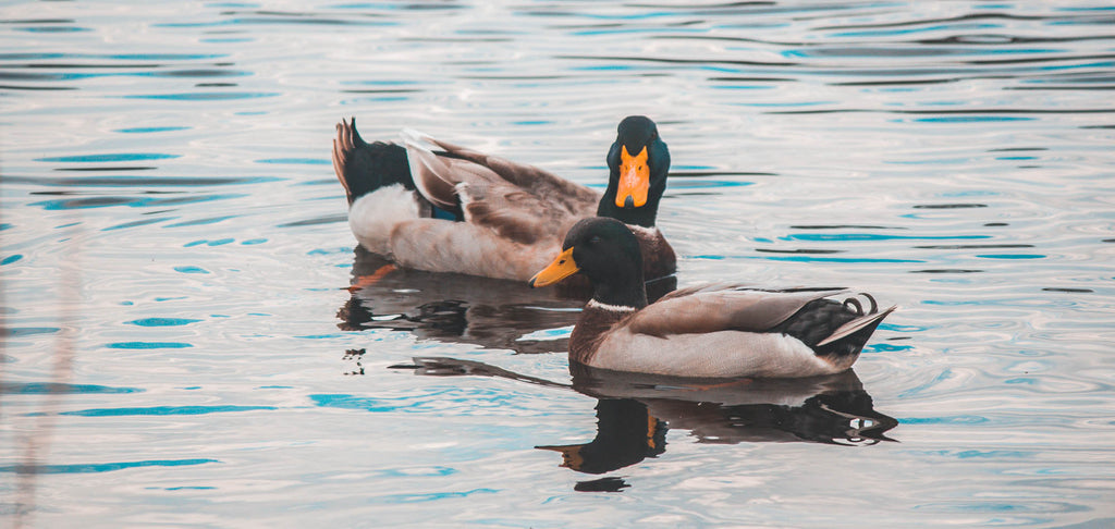 It’s time to change a national habit