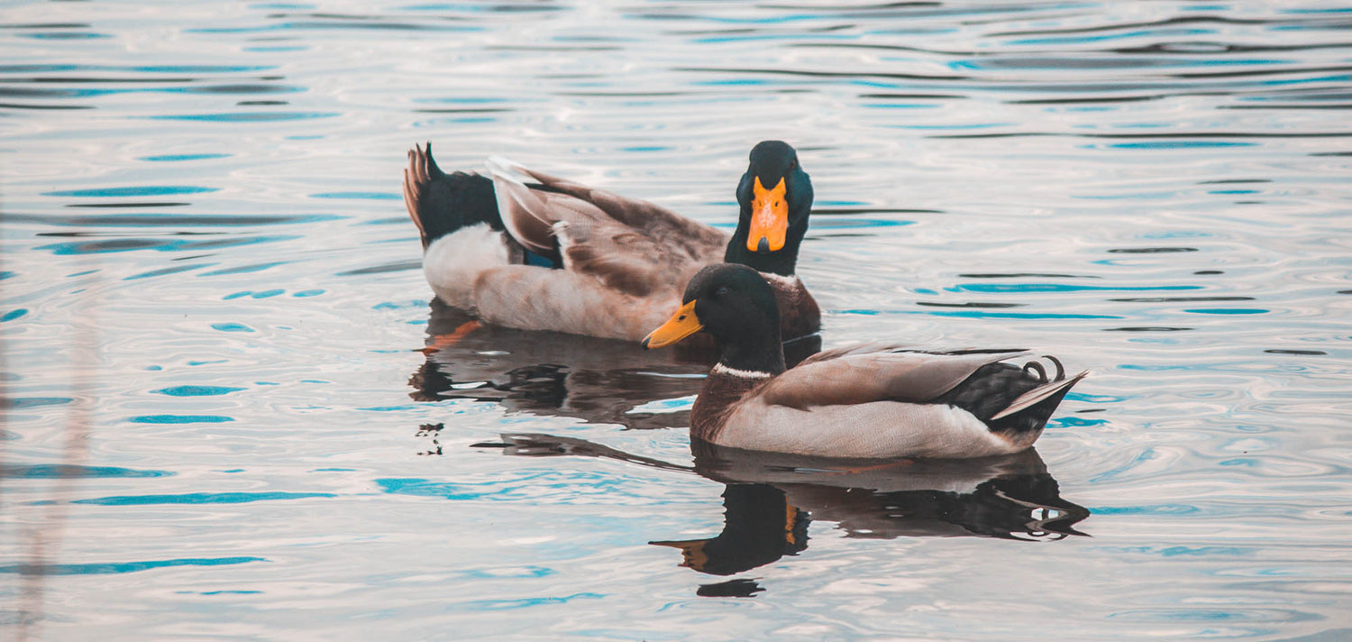 It’s time to change a national habit