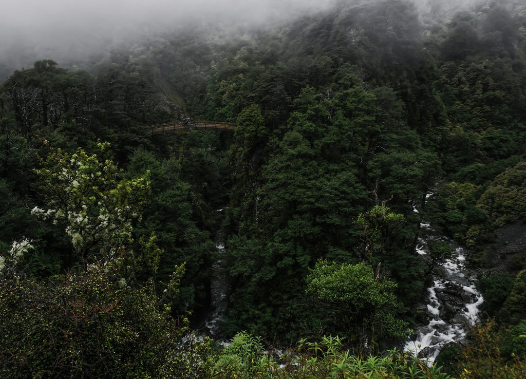 A word in your ear: Our favourite nature podcasts