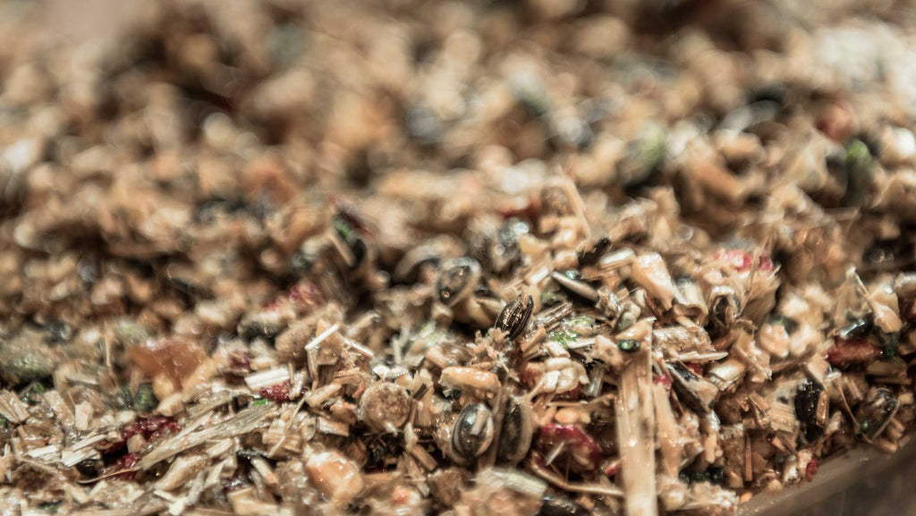 Aviary bird nutrition