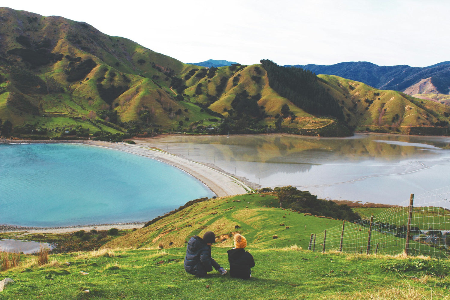 Great reads for nature lovers