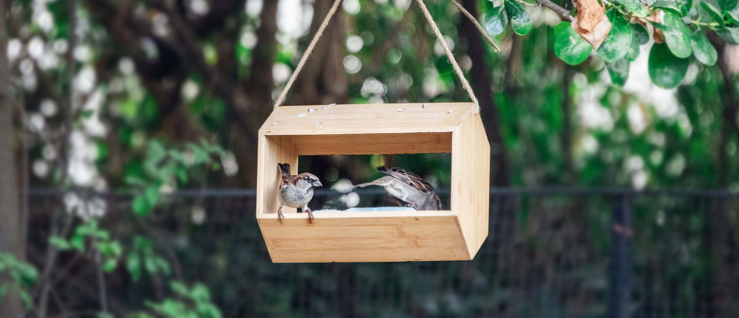 Home Page Collection