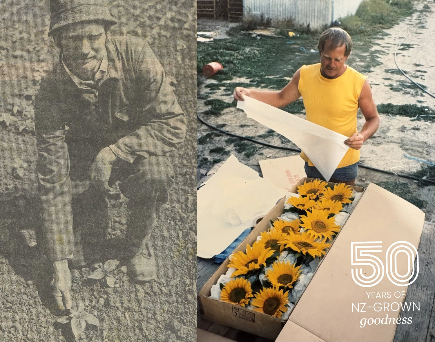 A visual history of Topflite