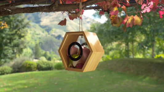 Chirpeteria Bird Feeder Topflite with fruit