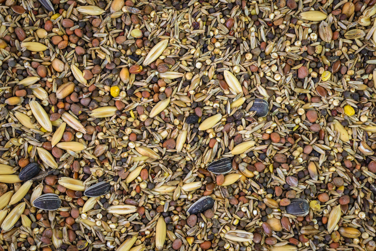 Topflite Wild Finch Mix