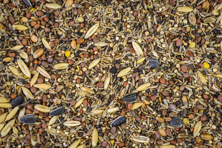 Topflite Wild Finch Mix
