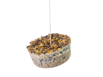 Topflite Hanging treat for birds