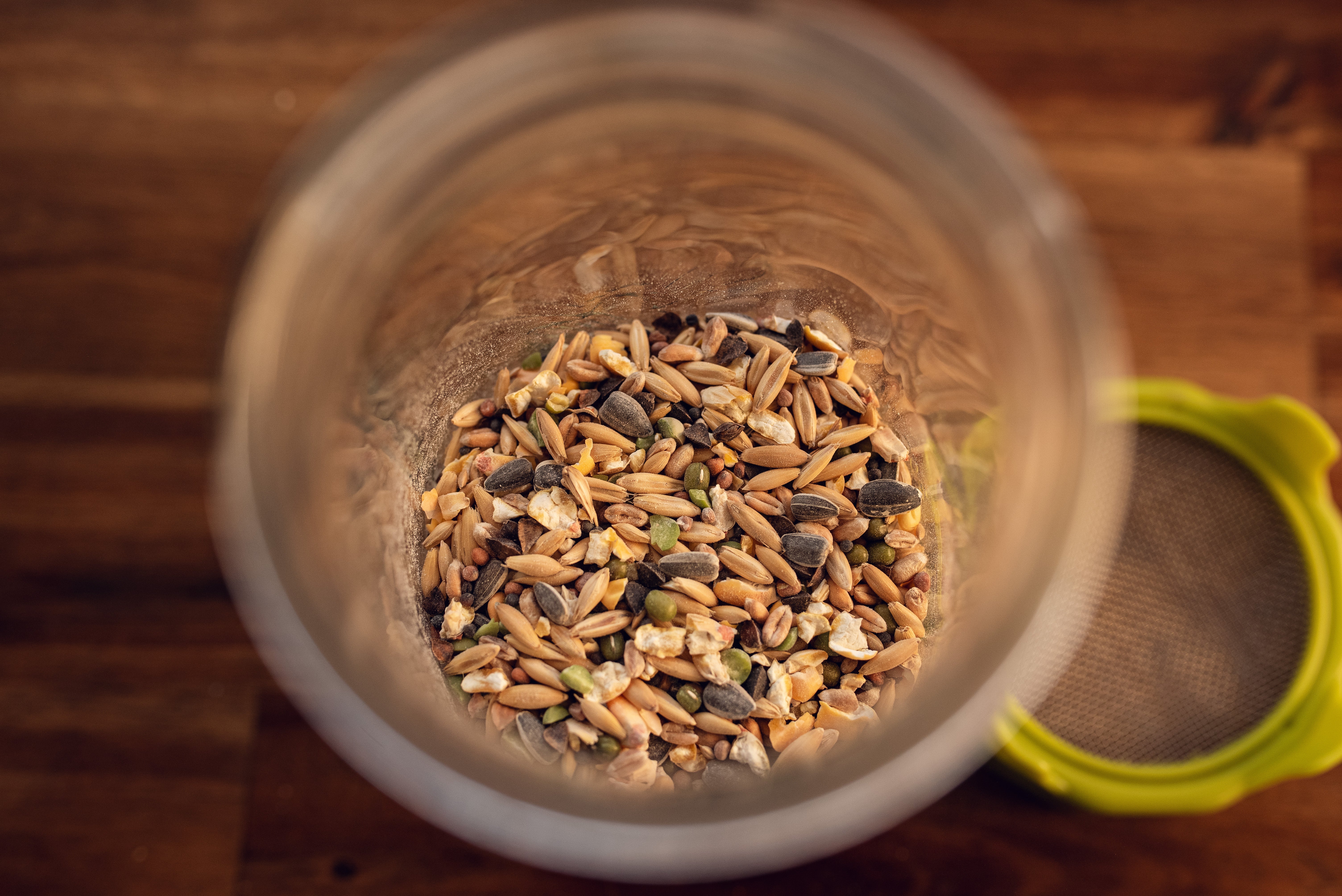 Soak and Sprout Topflite