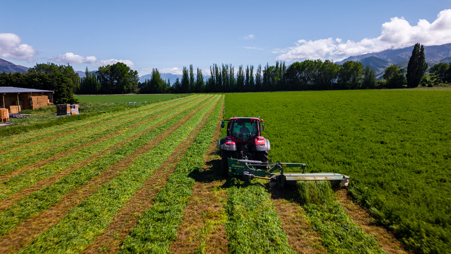 We think local first.