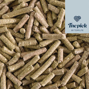 The Pick - Fibre Feast for Guinea Pigs