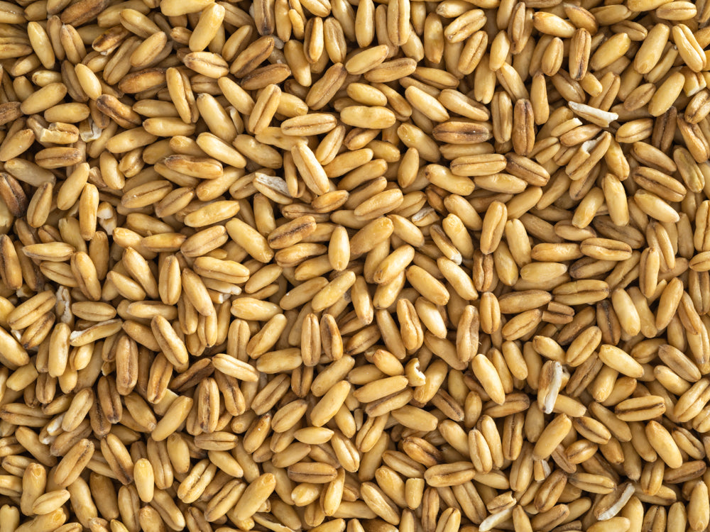 Close up of Topflite Hulled Oats