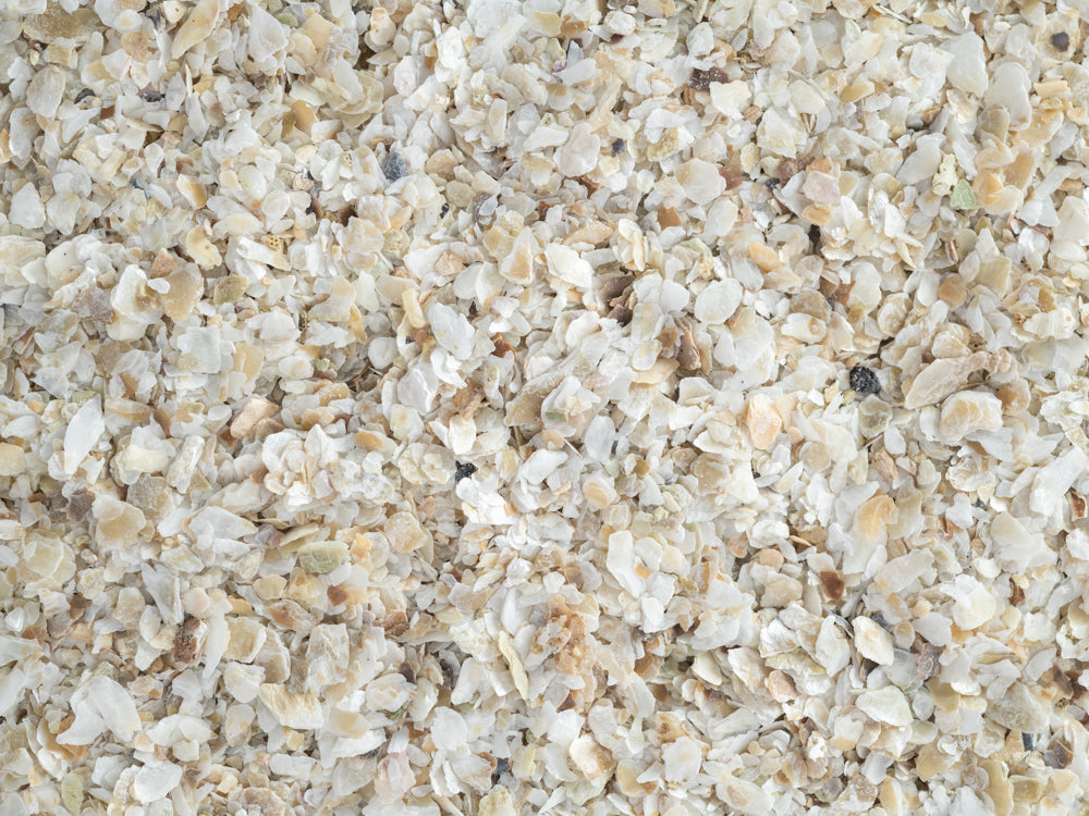 Close up of Topflite Oyster Grit Fine