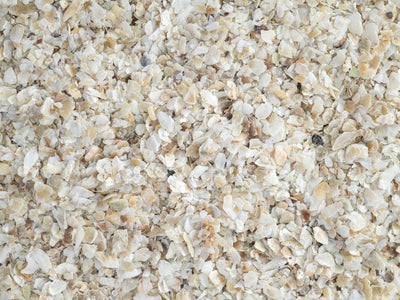 Close up of Topflite Oyster Grit Fine