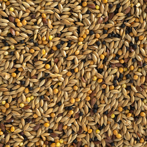 Canary Seed Mix