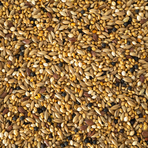 Finch Seed Mix