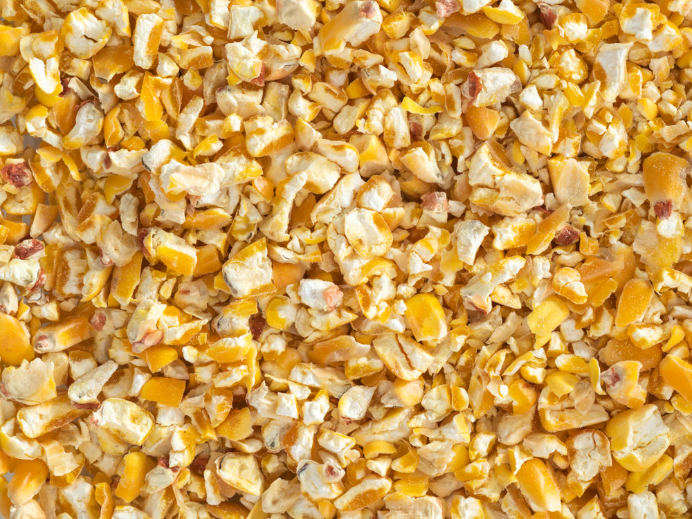 Close up of Topflite Kibbled Maize