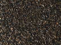 Close up of Topflite Niger