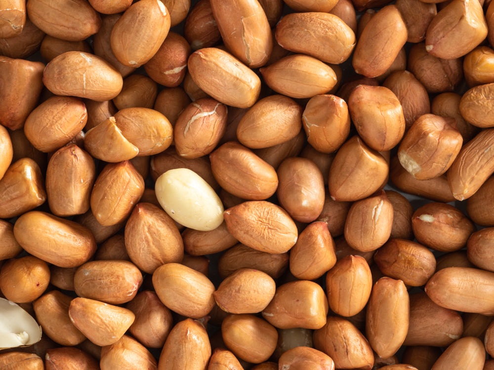 Close up of Topflite Peanuts
