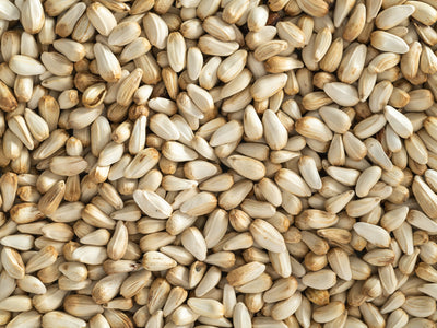 Close up of Topflite Safflower