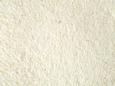 Close up of Topflite Lorikeet Dry