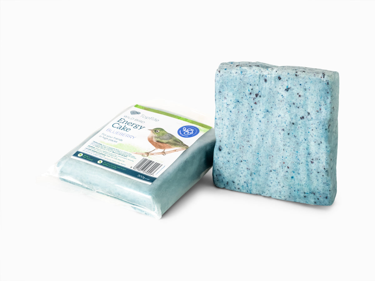 Blueberry Topflite Wild Bird Energy Cake
