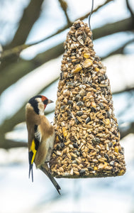 Topflite Wild Bird Seed Cone 