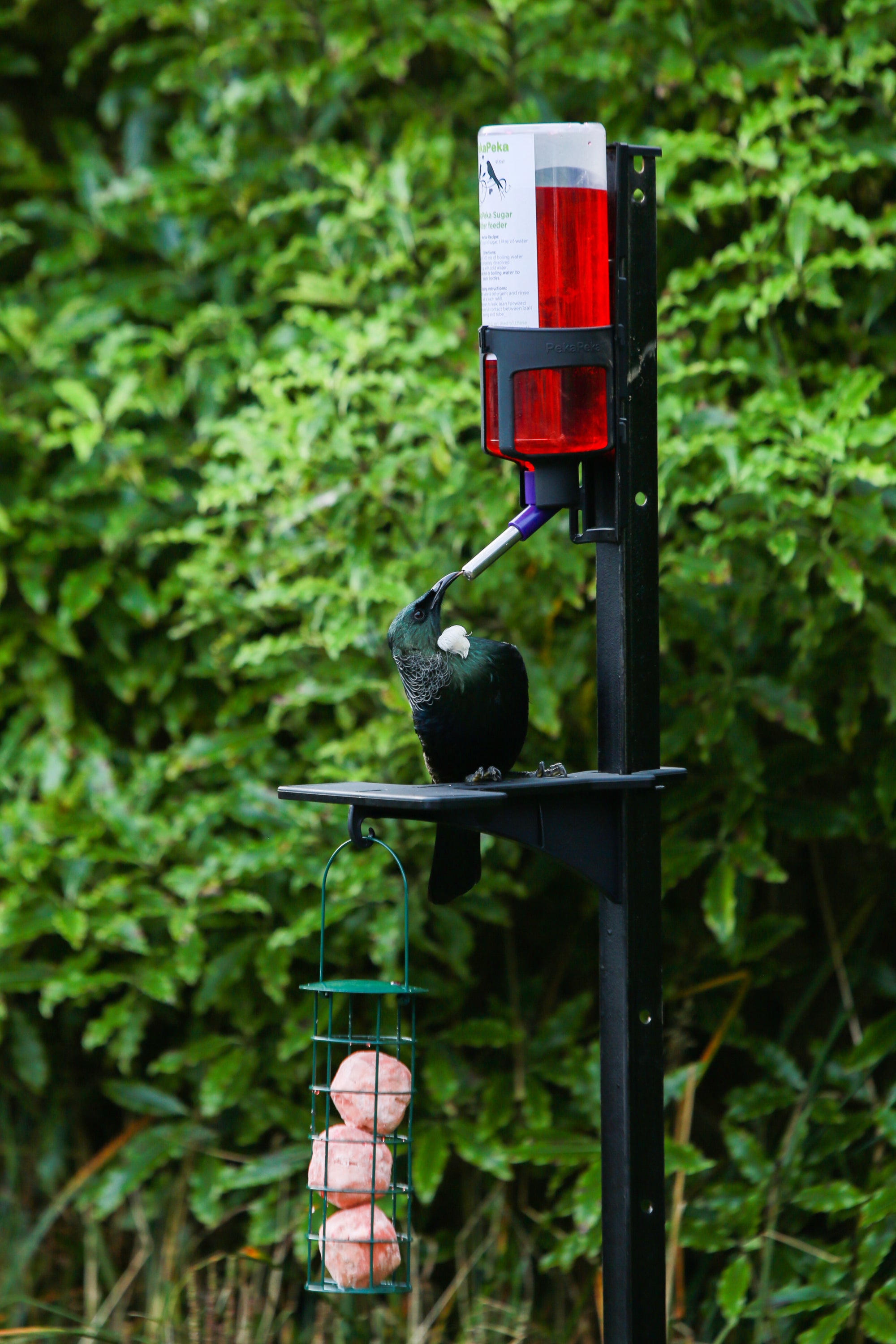 Peka Feeder Nozzle Replacement Part