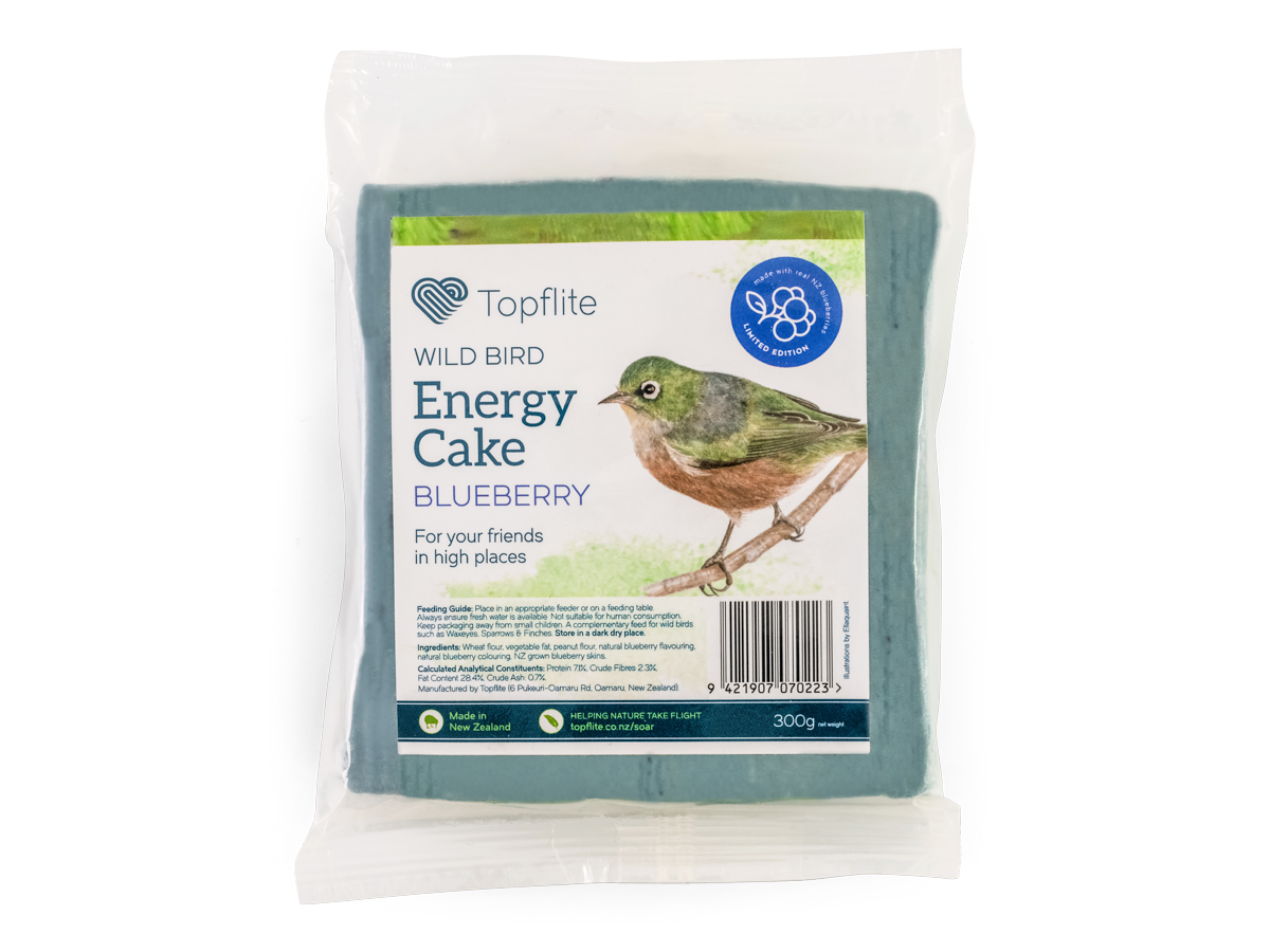 Blueberry Energy Cakes