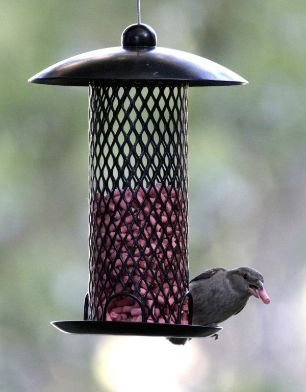 Wild Bird Energy Pellet Feeder
