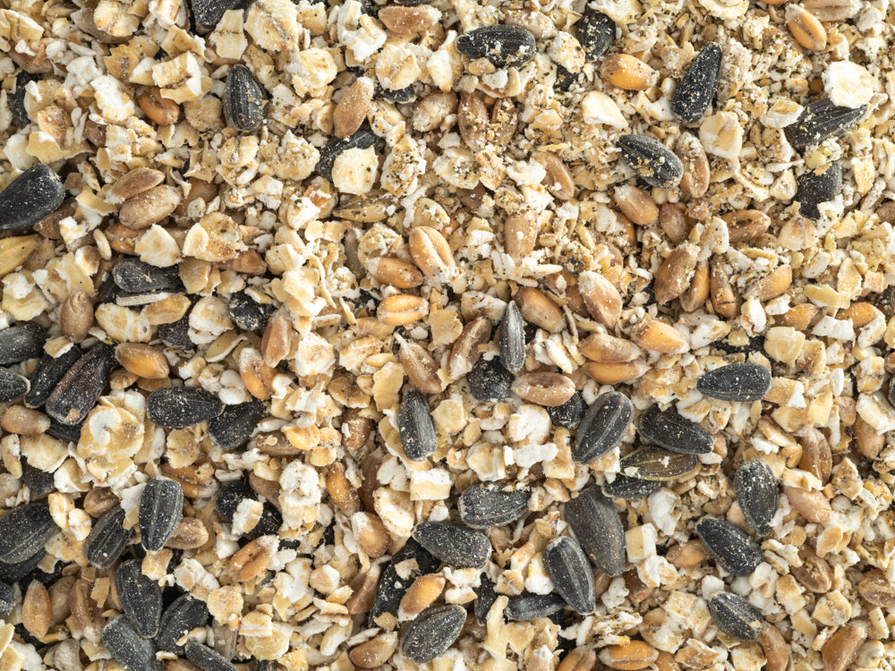 Close up of Topflite Hen Health Tonic