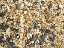 Close up of Topflite Hen Health Tonic