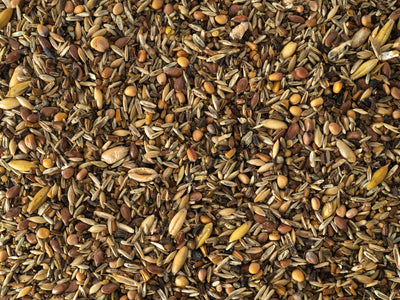 Close up of Topflite Wild Bird Seed Fine