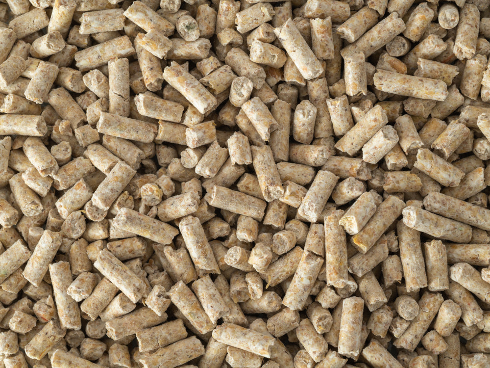 A close-up view of Topflite Poultry Pellets.