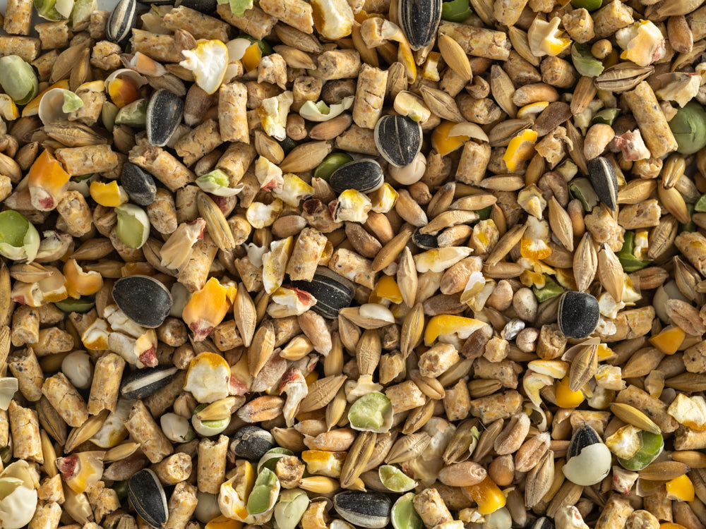 A close-up view of chicken feed which includes a mix of grains, seeds, and pellets.