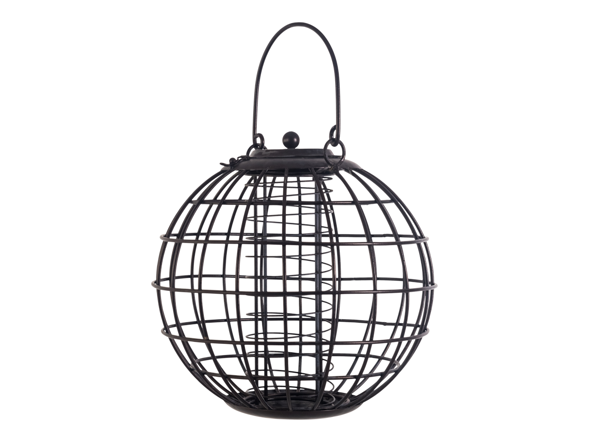 The Little Bird Feeder