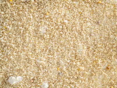 Topflite Wild Bird Nectar