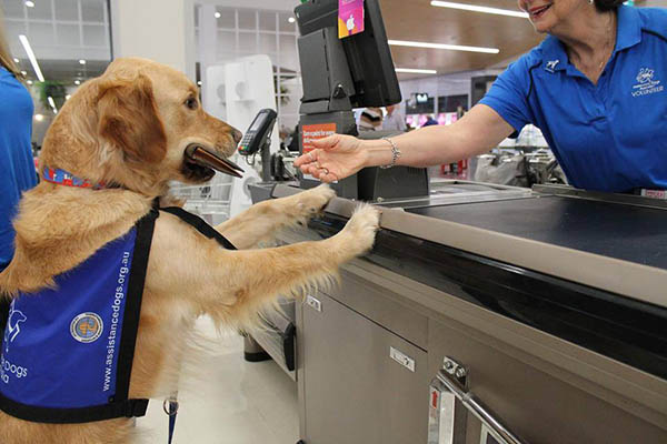 A Golden Retriever hands a wallet to the checkout operator